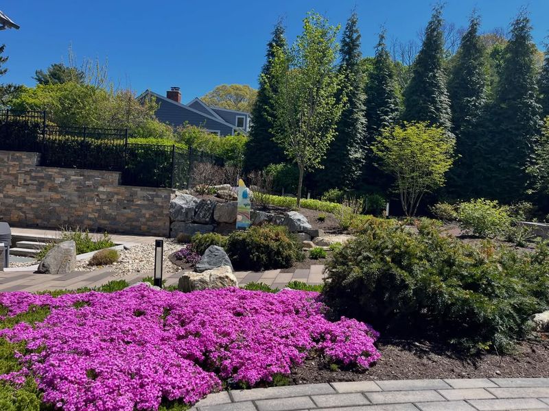 Grow Ground Covers That Hold Soil In Place