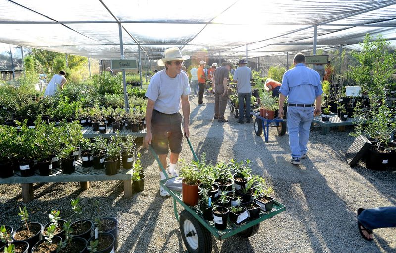 Grow Native Nursery At California Botanic Garden — Claremont, CA Grow Native Nursery At California Botanic Garden — Claremont, CA