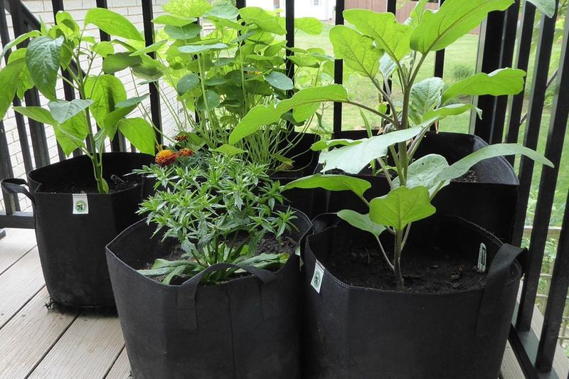 Growing Spaces Can Be Expanded More Easily