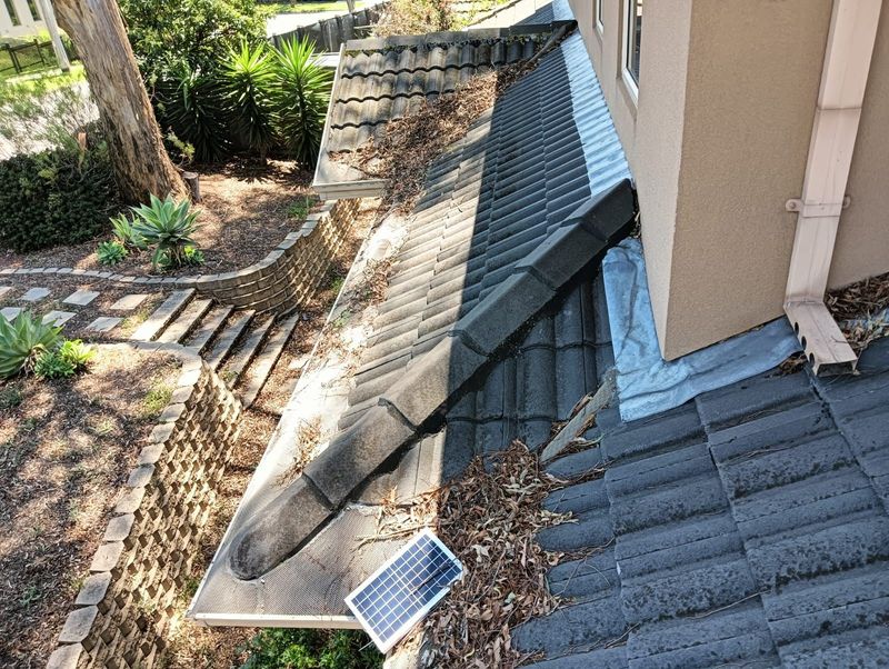 Gutters Full Of Eucalyptus Material Are A Roof Risk