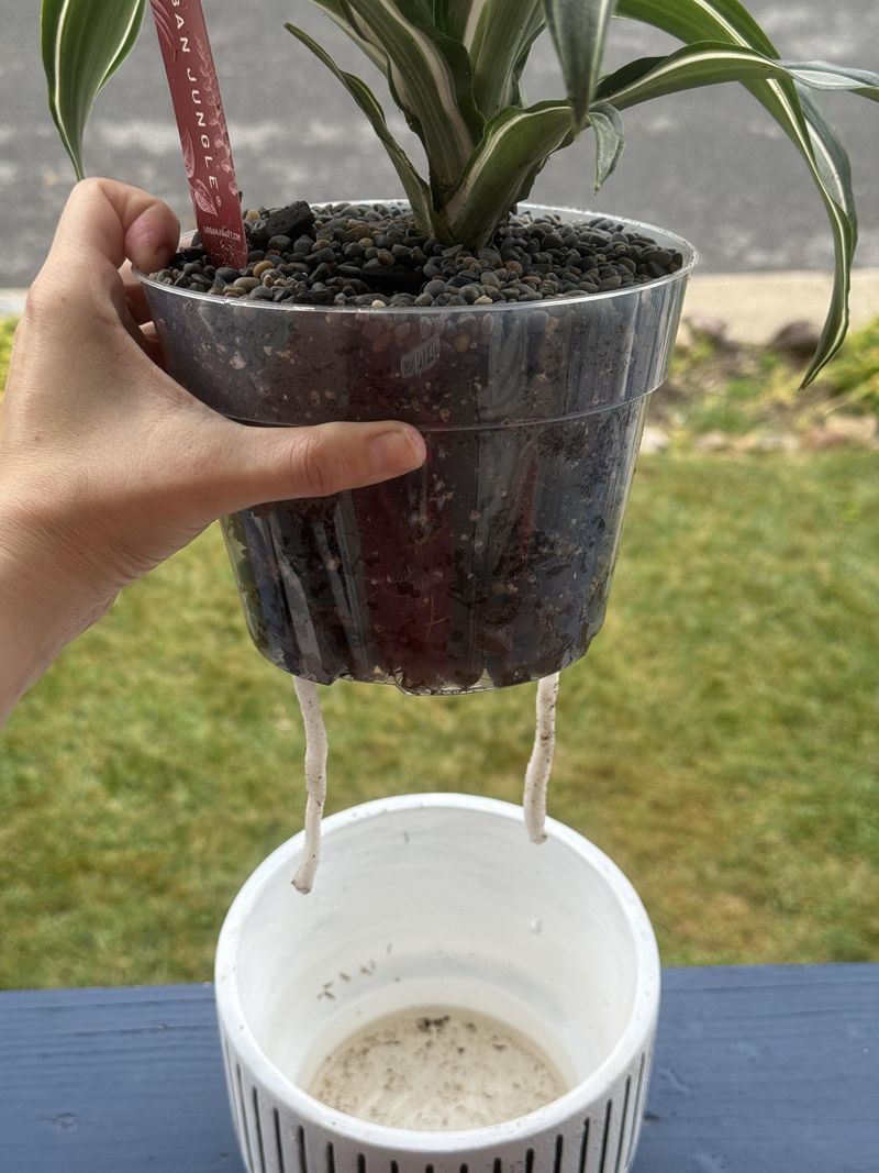 Hand Soak The Driest Containers Hand Soak The Driest Containers