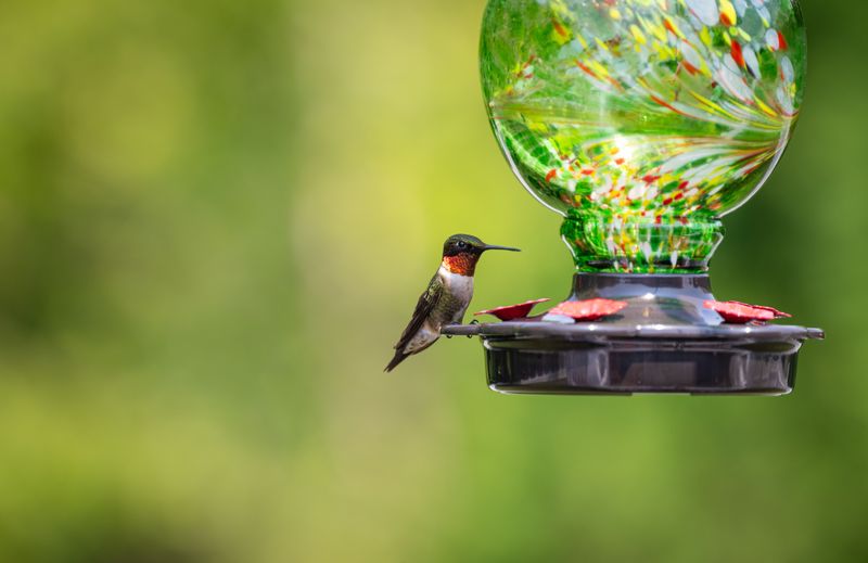 Hanging A Feeder That's Too Large