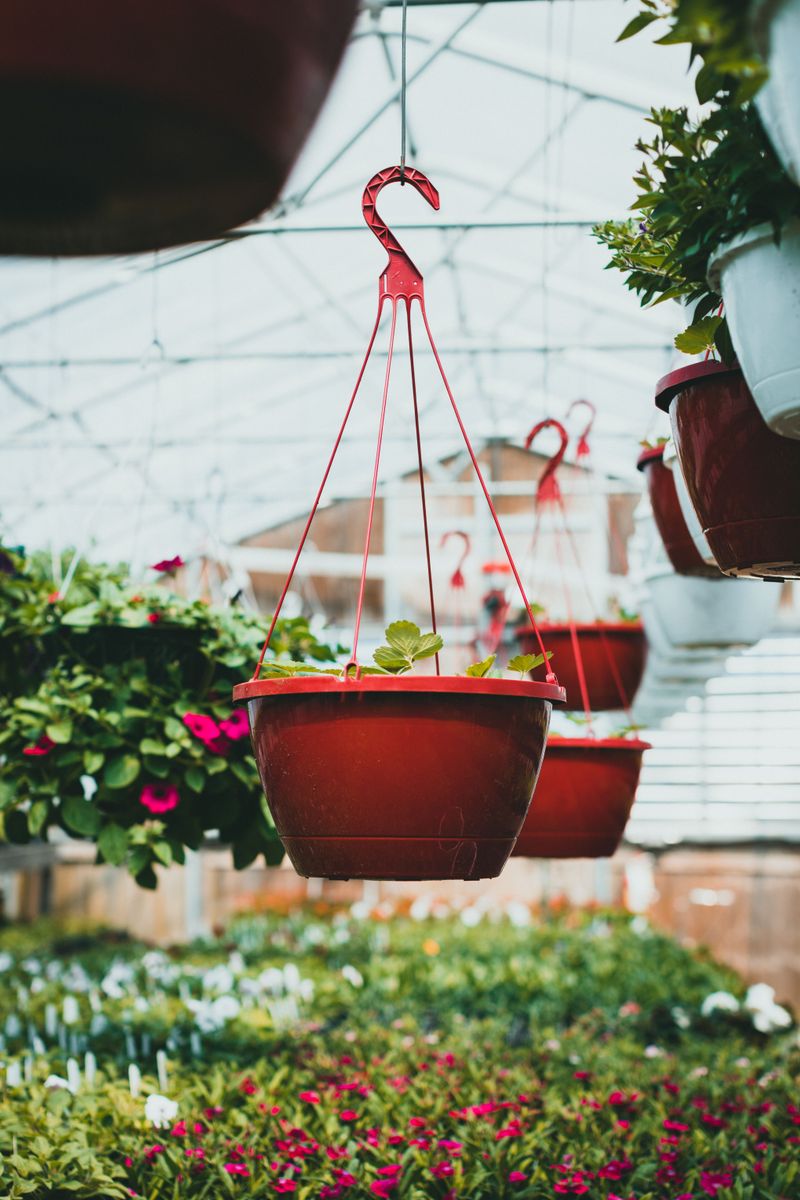 Hanging Height Increases Airflow Around The Pot