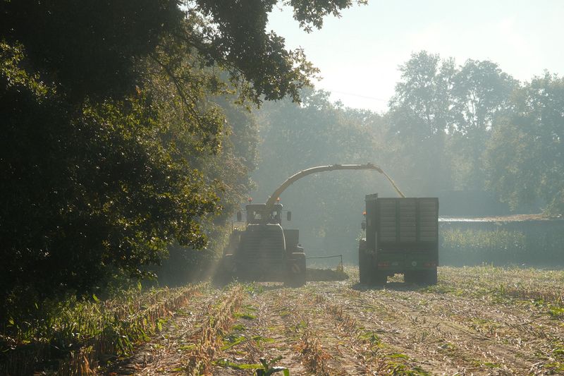 Harvest Early Rather Than Risk A Storm Harvest Early Rather Than Risk A Storm