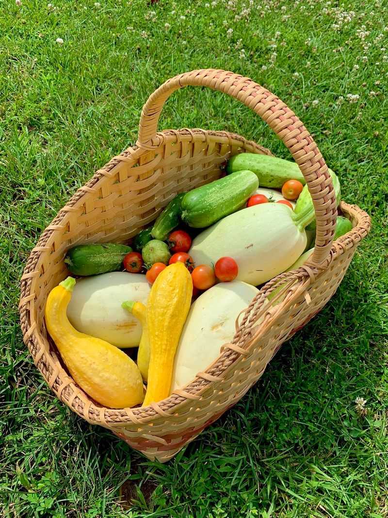 Harvest Ripe Crops Without Delay Harvest Ripe Crops Without Delay