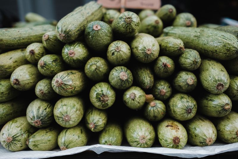 Harvest Zucchini Every 2-3 Days While Small