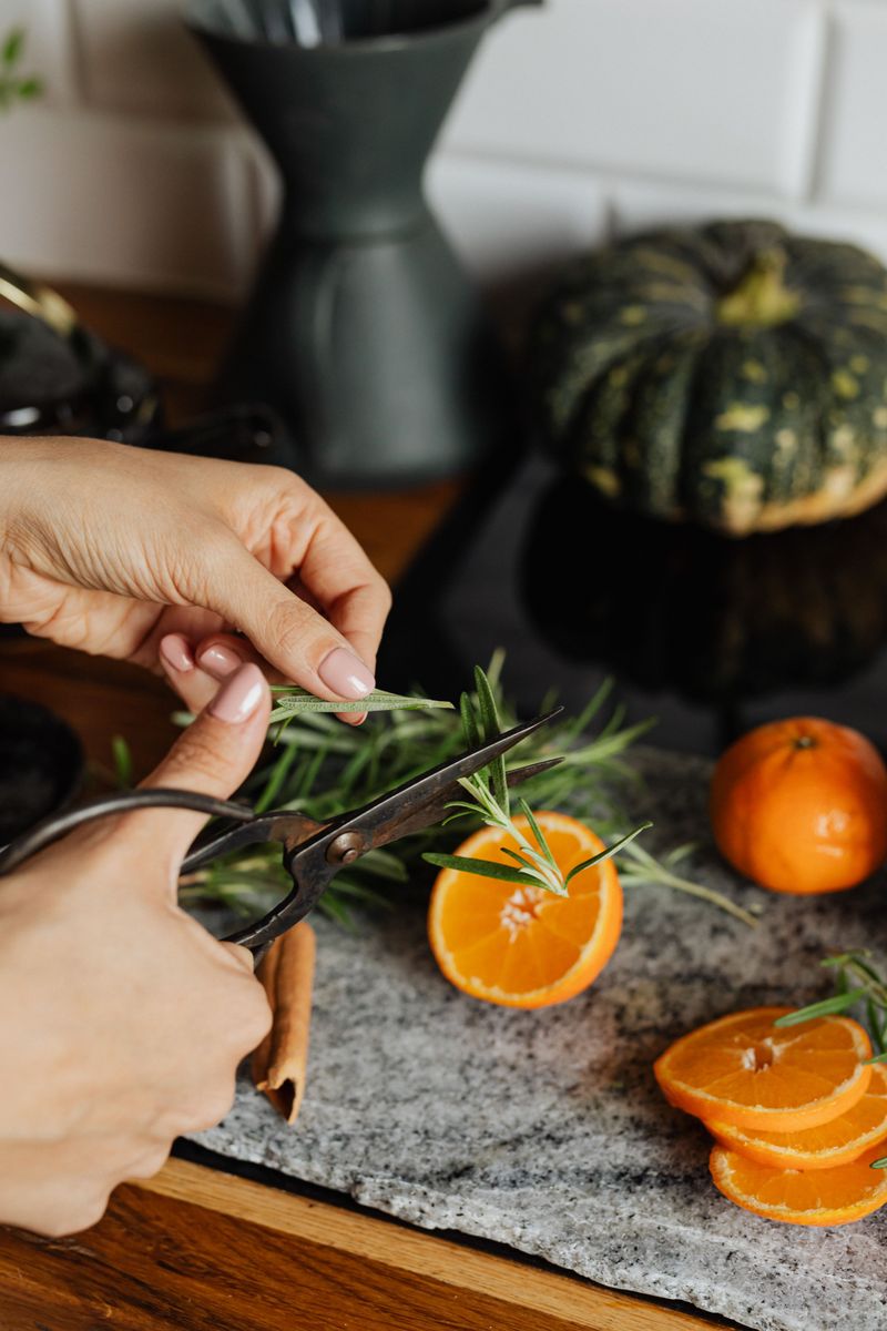 Harvesting And Using Both Herbs In The Kitchen Harvesting And Using Both Herbs In The Kitchen