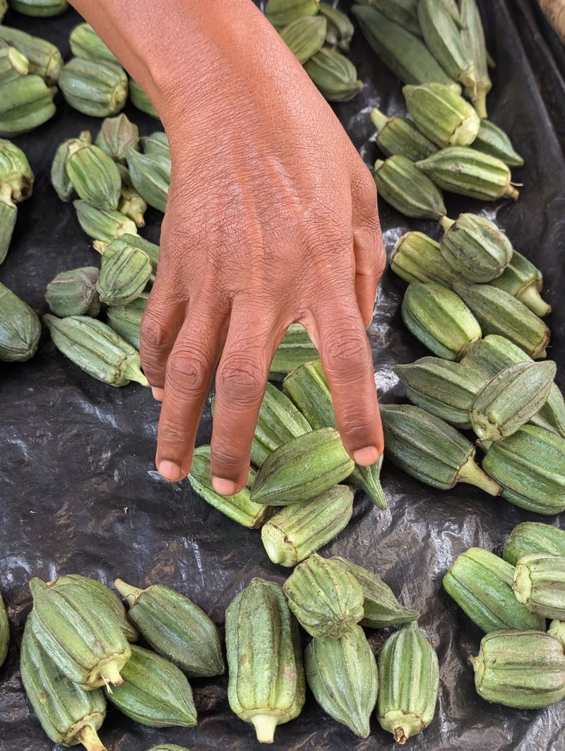 Harvesting Tips For A Continuous July Yield