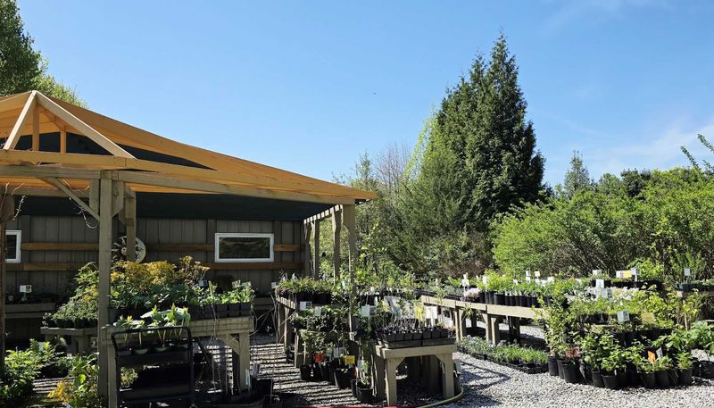 Heartwood Nursery - Felton Heartwood Nursery - Felton