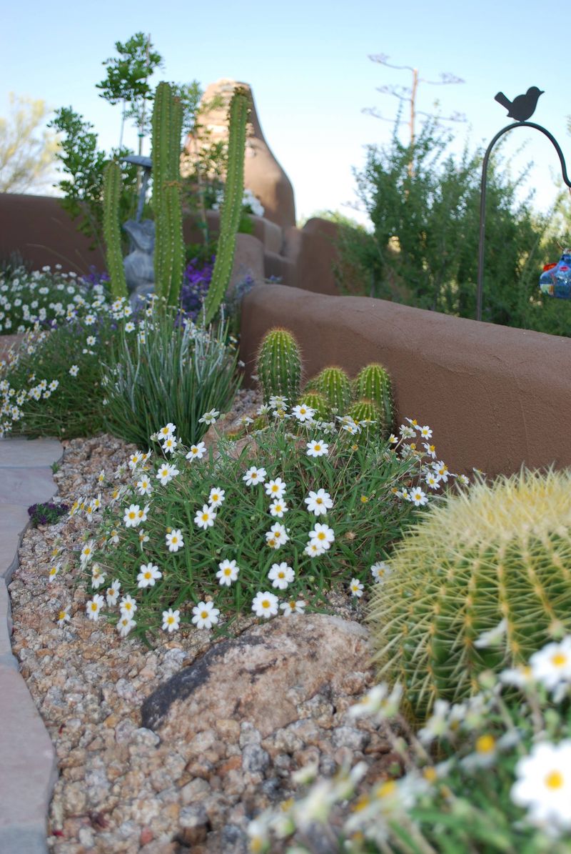 Heat-Tolerant Ground Covers Help Lock In Moisture Heat-Tolerant Ground Covers Help Lock In Moisture