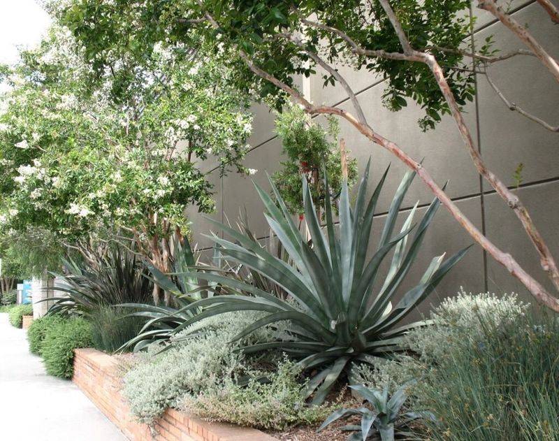 Heat-Tolerant Plants Perform Better In These Locations