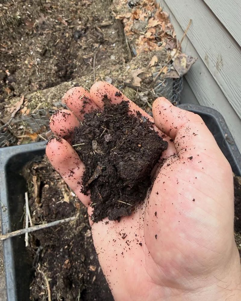 Heavy Manure Without Composting Heavy Manure Without Composting