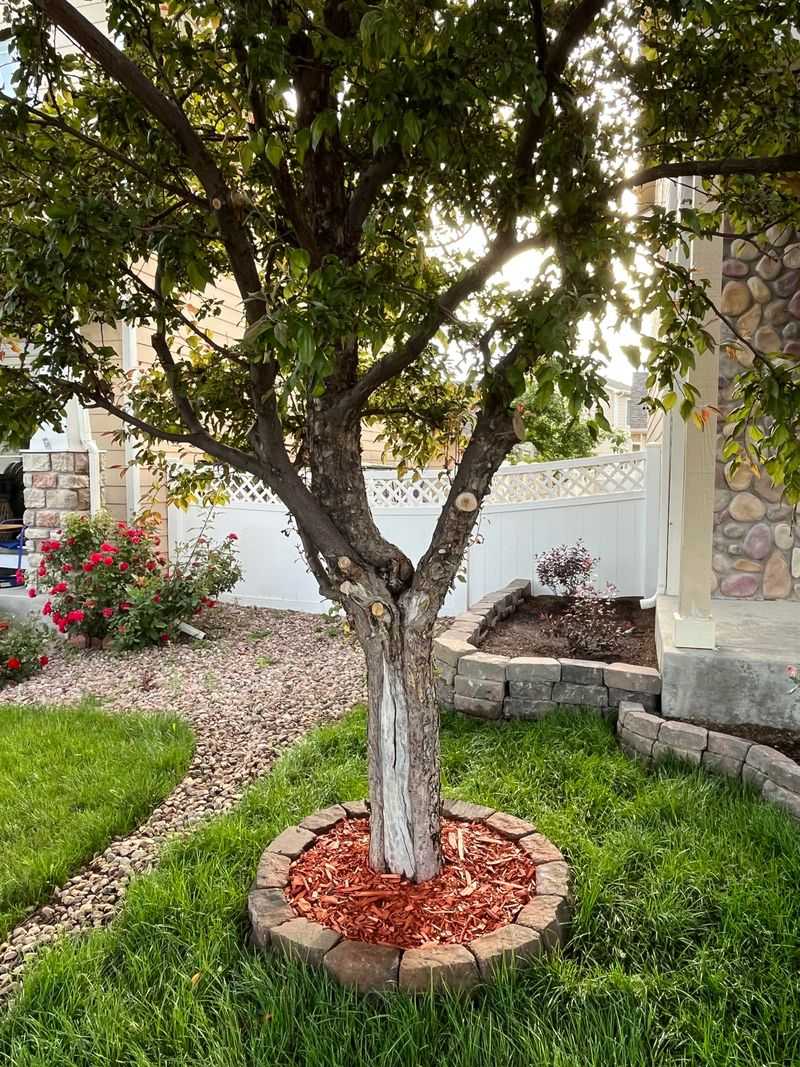 Heavy Pruning Can Backfire