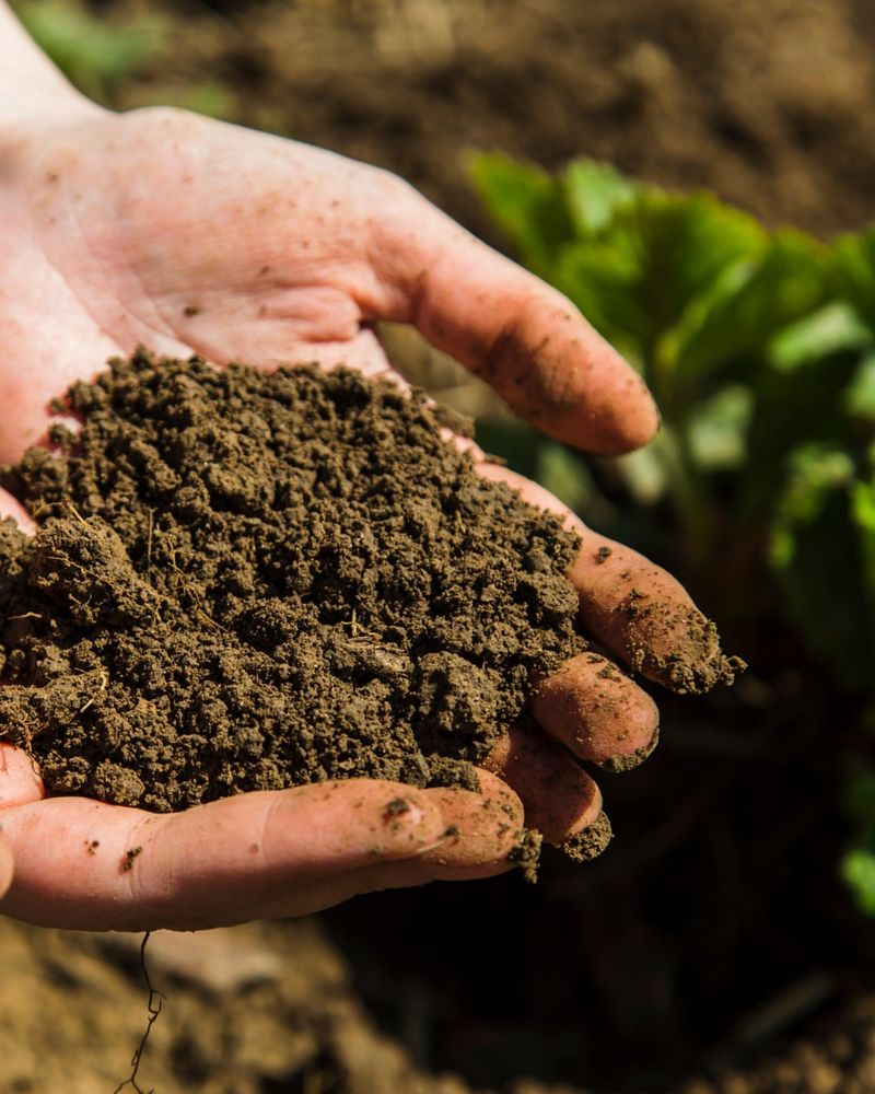 Heavy Soil Holds Moisture Longer Heavy Soil Holds Moisture Longer