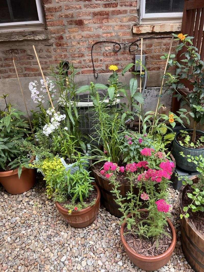 Help Every Native Container Survive Winter Help Every Native Container Survive Winter