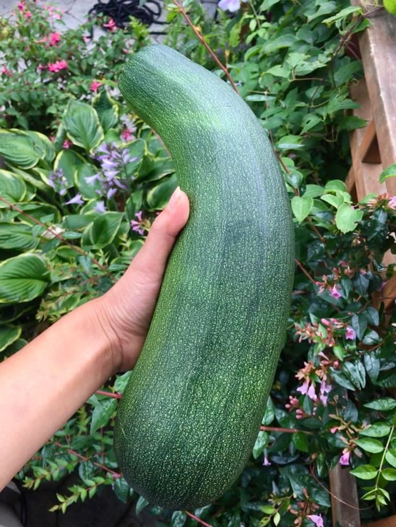 Hidden Fruit Can Turn Huge Overnight