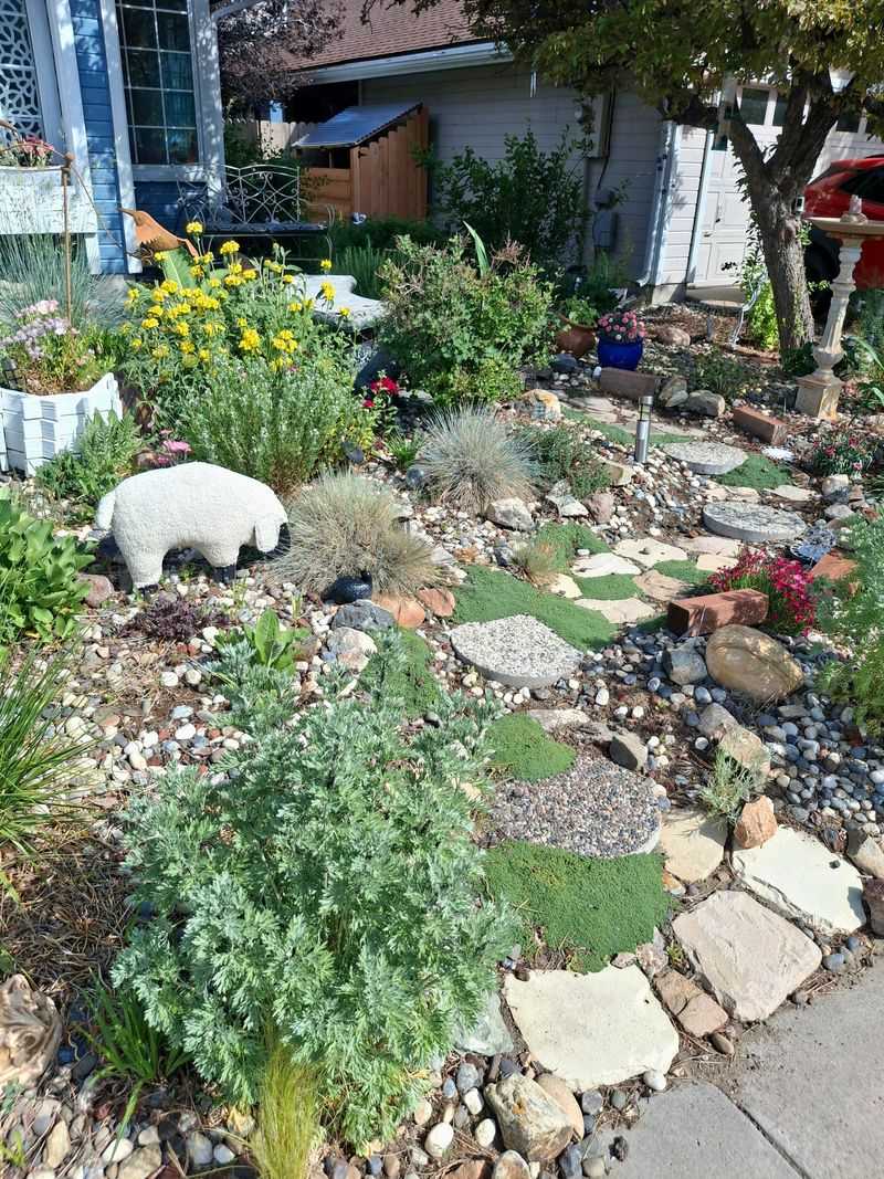 High Desert: Water Young Plants More Carefully