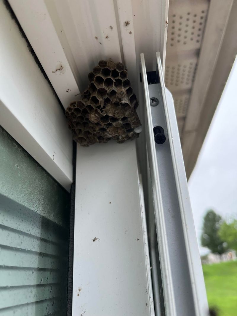 High Traffic Nests Need Action High Traffic Nests Need Action