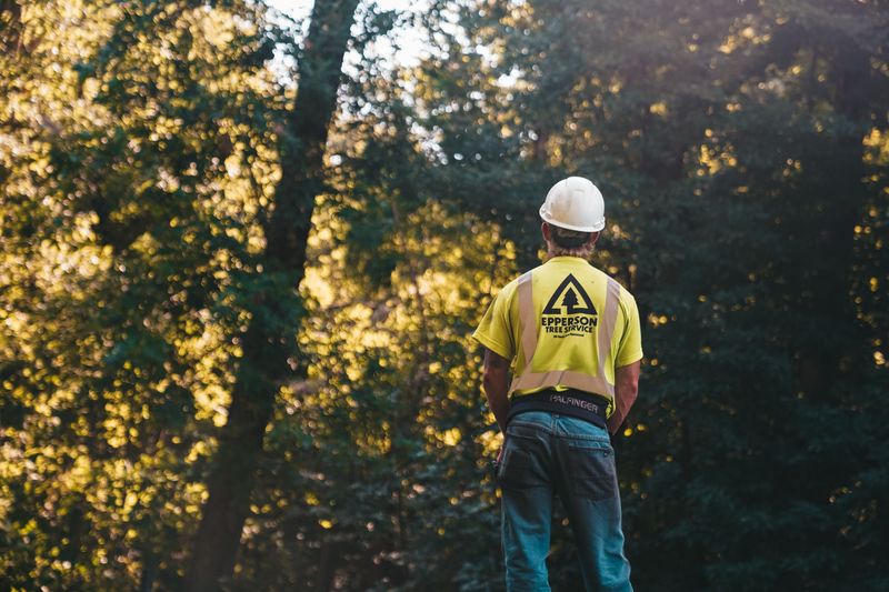 Hiring A Licensed Surveyor Or Arborist In Tennessee Hiring A Licensed Surveyor Or Arborist In Tennessee