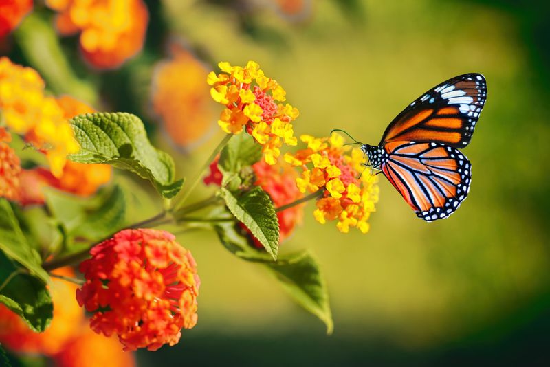 Hold Off On Any Fall Pruning