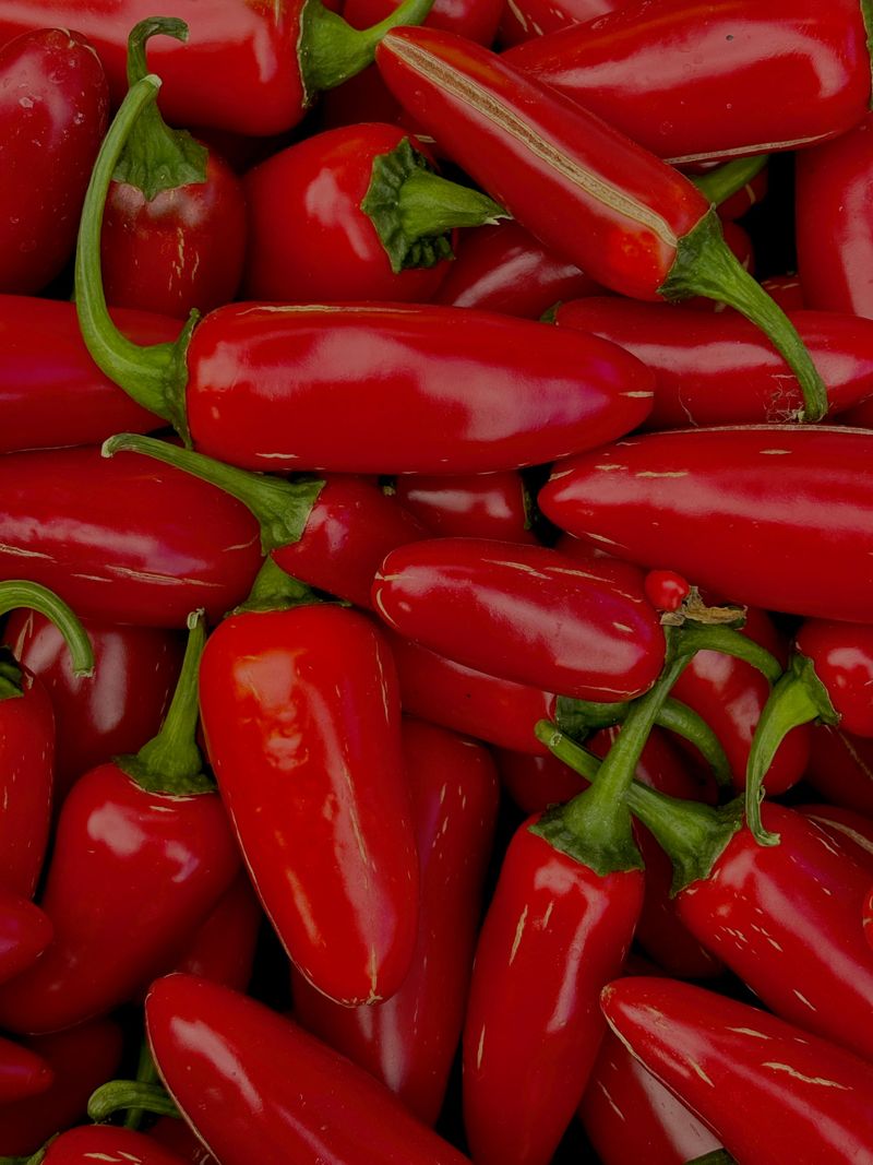 Hot Peppers (Cayenne, Jalapeño, Habanero) Hot Peppers (Cayenne, Jalapeño, Habanero)