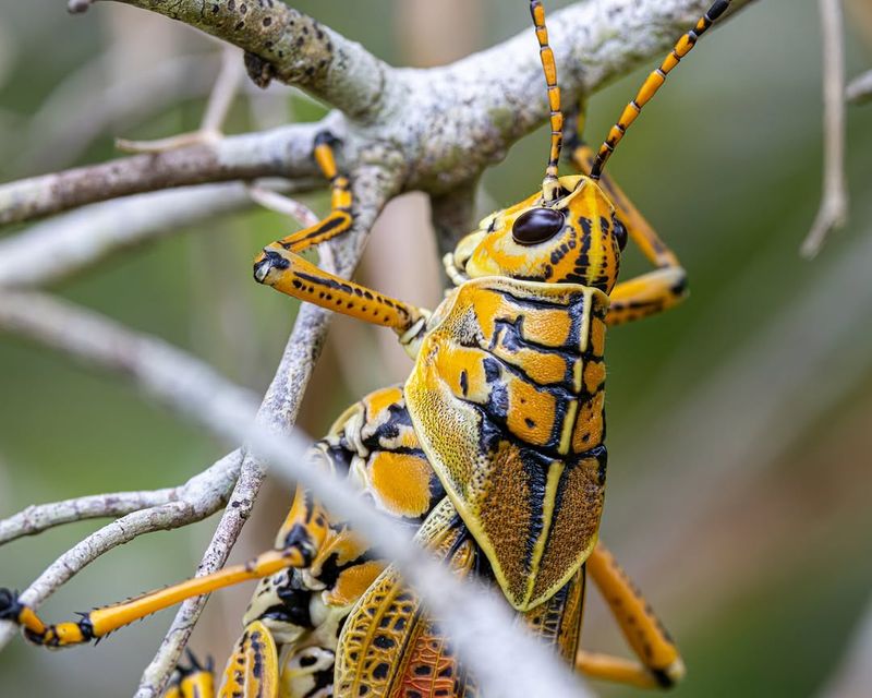 Hot Weather Makes Sightings More Common Hot Weather Makes Sightings More Common