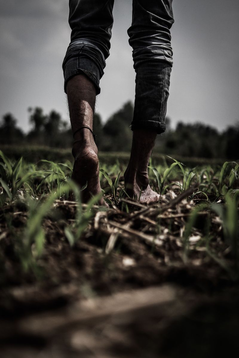 How Long To Wait Before Walking On Soil
