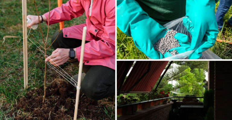 How Louisiana Gardeners Can Prepare Before Heavy Gulf Rains Arrive