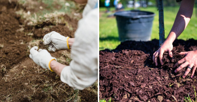 How Mississippi Gardeners Can Prepare Before Heavy Rain Arrives
