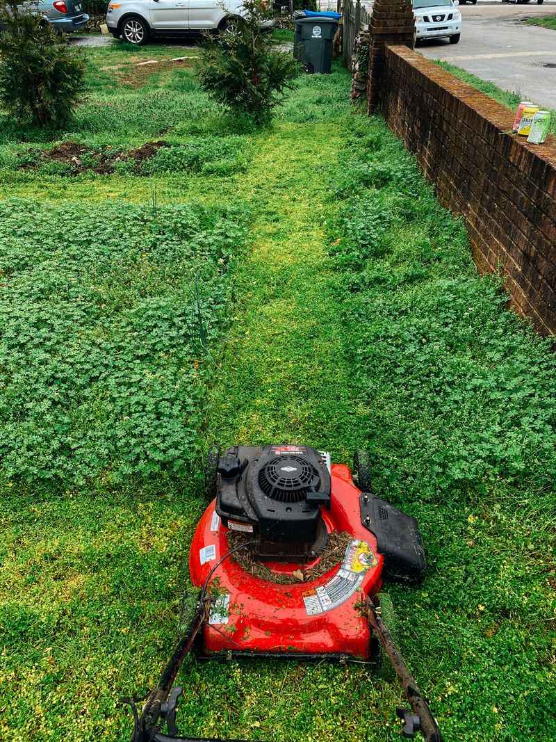 How Mowing Actually Helps It Spread