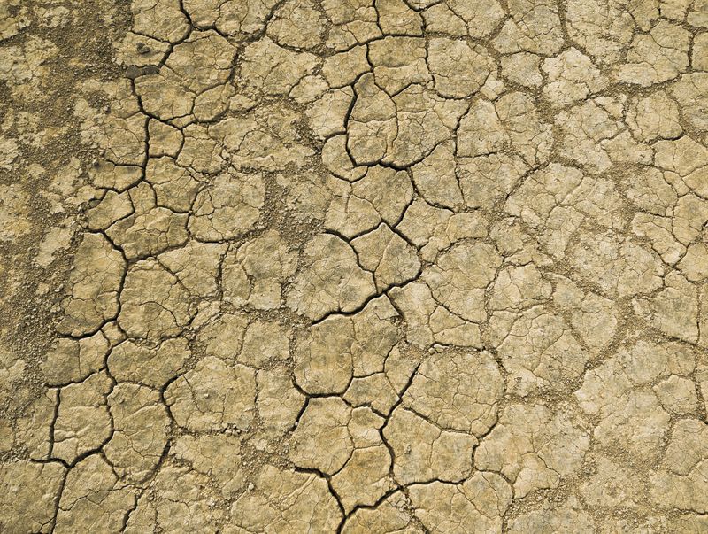 How Oregon's August Heat Makes It Worse