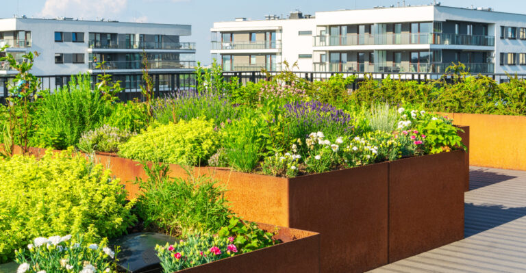 How Rooftop Gardening In New York City Differs From Suburban Gardening