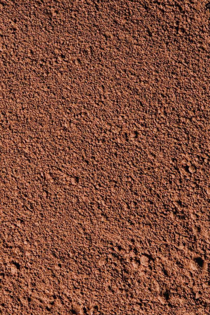 How To Amend Clay Soil Before Planting