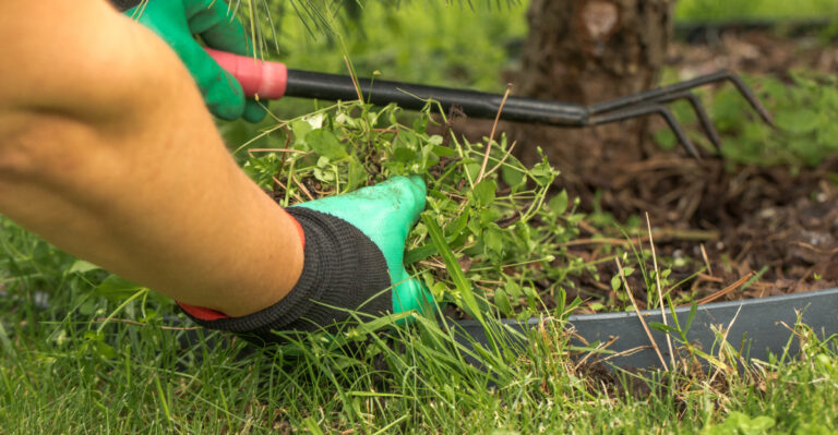 How To Get Rid Of Grass In Oregon Flower Beds And Keep It From Coming Back
