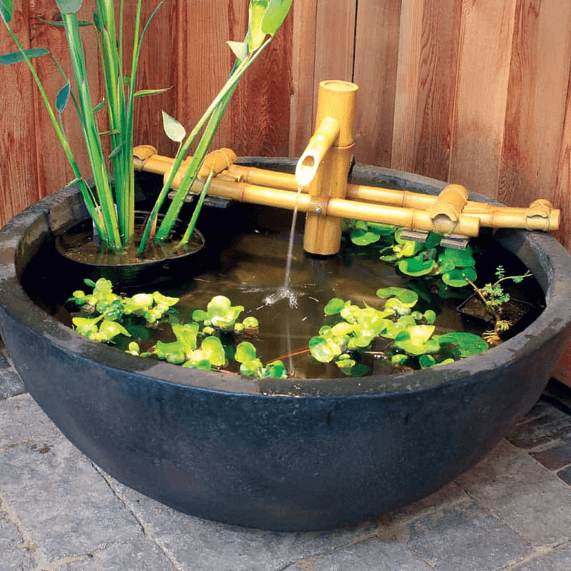 How To Get Started With Your First Water Feature