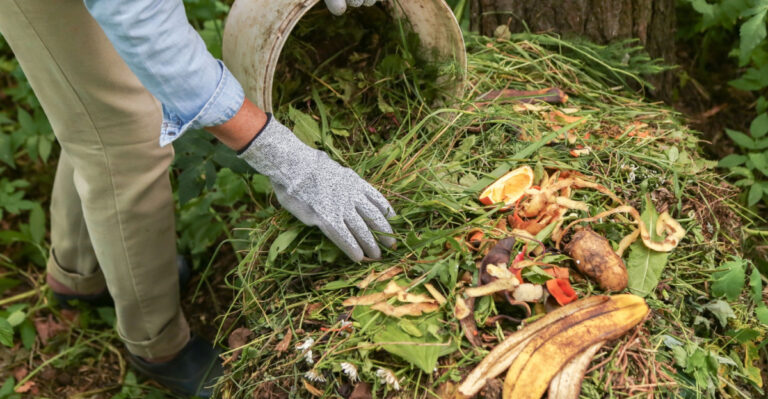 How To Keep A Compost Pile Working Through Georgia Summer Heat