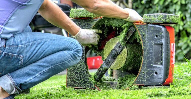 How To Mow A Florida Lawn During Rainy Season Without Spreading Disease