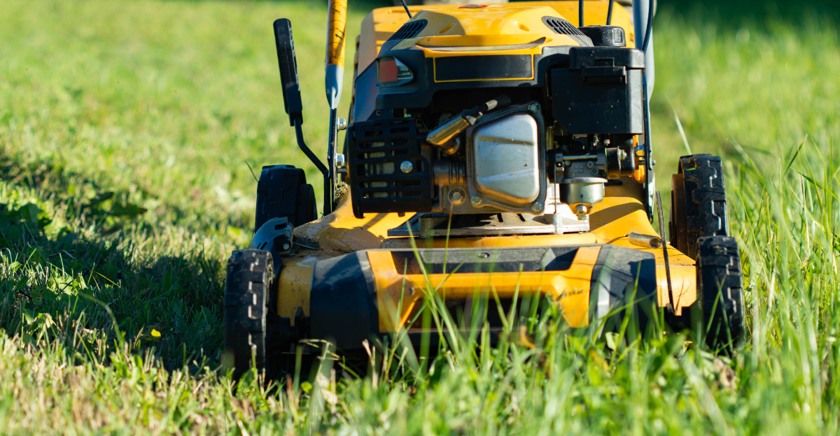 lawn mower