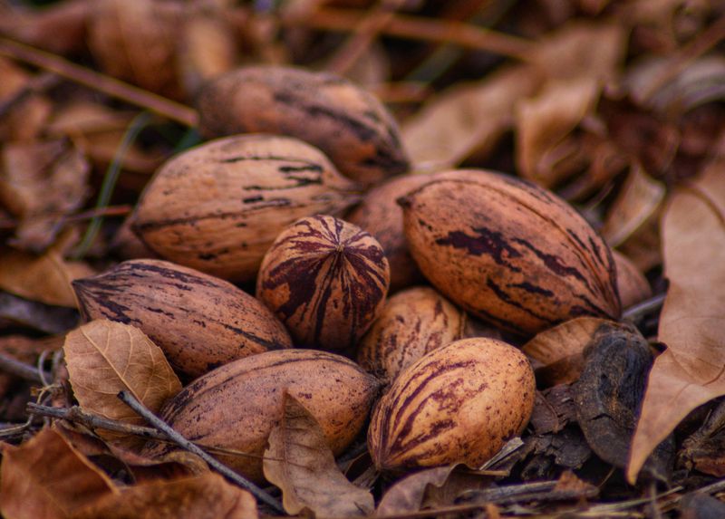 How To Spot The Damage Before Your Harvest Is Ruined