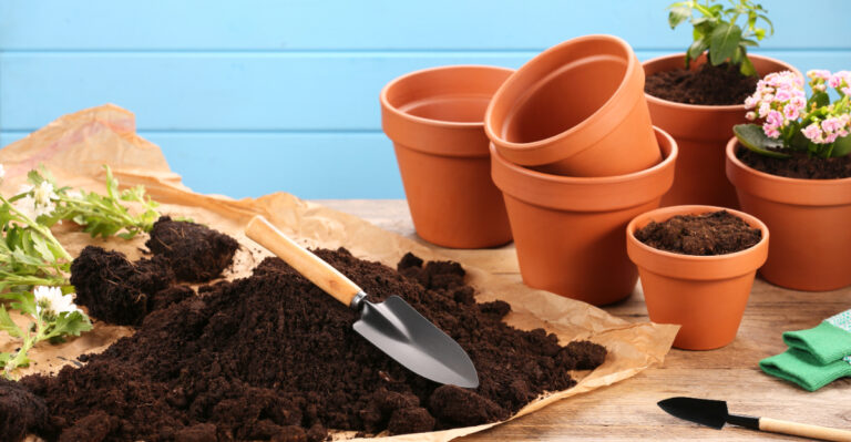 How To Use Terracotta Pots In California Without Drying Plants Out Too Fast