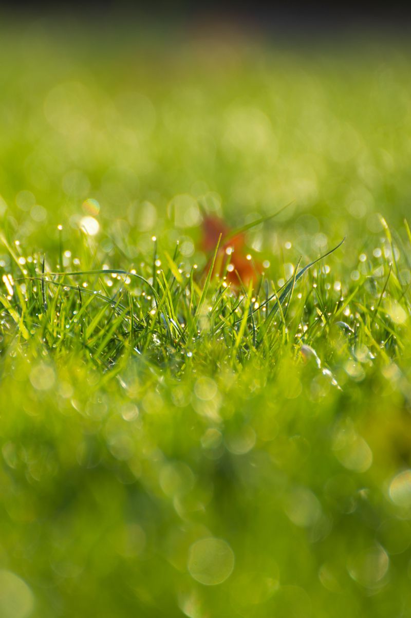 Humidity Traps Warmth Near Ground Humidity Traps Warmth Near Ground