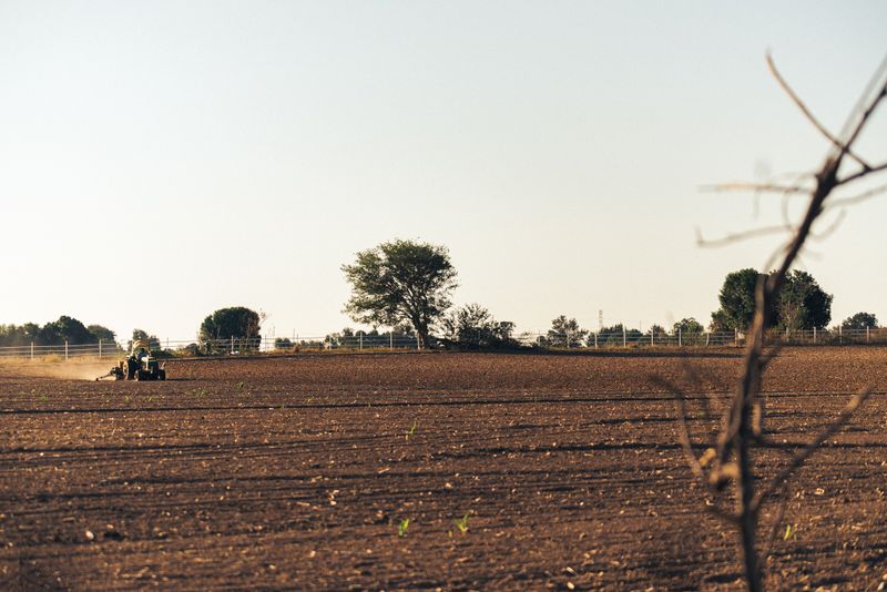 Hydroseeding, Drill Seeding, And Broadcast Seeding