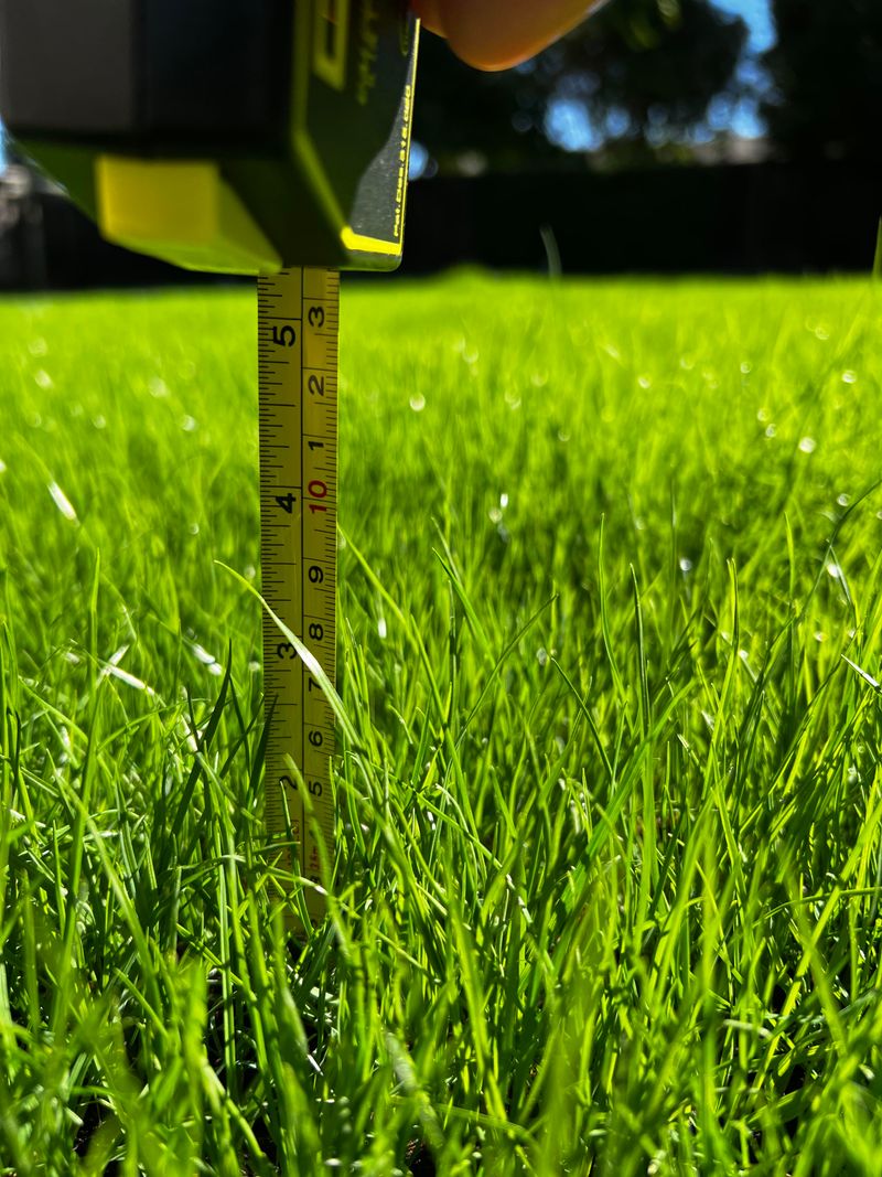 Ideal Mowing Height For Summer Months