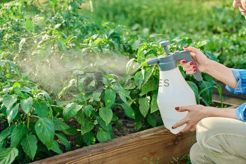 Identify The Pest Before You Spray Identify The Pest Before You Spray