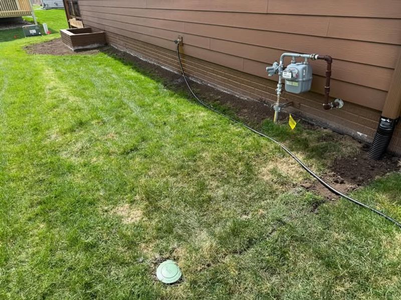 Improve Drainage To Reduce New Growth Improve Drainage To Reduce New Growth
