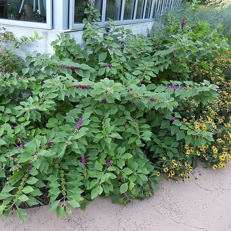 Improve Heavy Clay Before You Plant