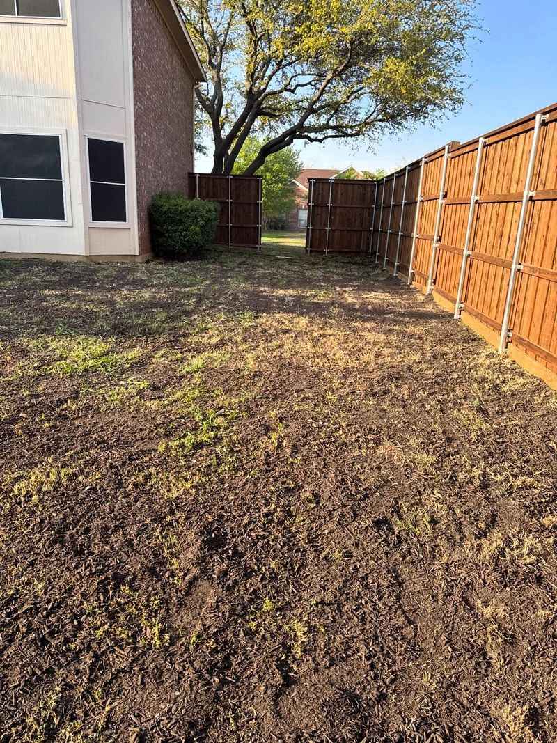 Improve Soil Conditions In Bare Areas Improve Soil Conditions In Bare Areas