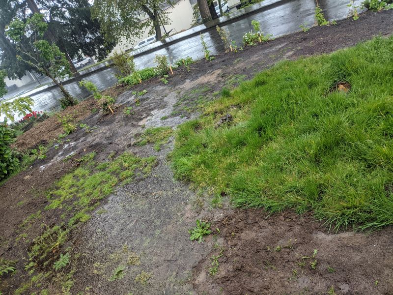 Incoming Runoff May Be Carrying More Than Water Incoming Runoff May Be Carrying More Than Water
