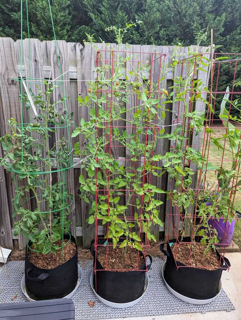 Increase Frequency For Container Plants Increase Frequency For Container Plants