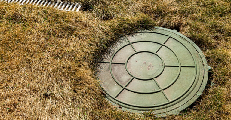 Indiana Septic Drain Fields Have 8 Planting Rules Homeowners Should Know